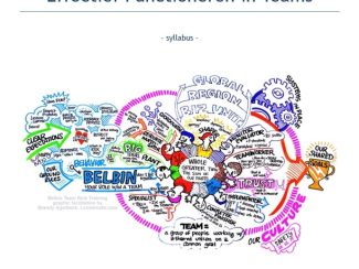 FOCUS Syllabus – Effectief functioneren in teams (Belbin)